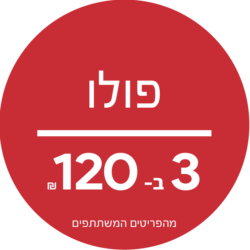 פולו