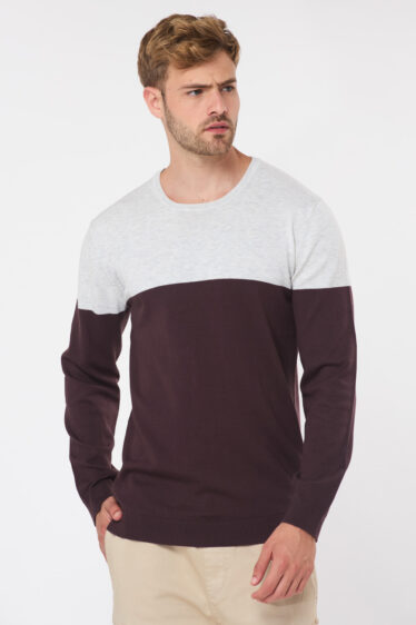 סריג בייסיק טריקולור