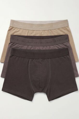 שלישיית בוקסרים חומים